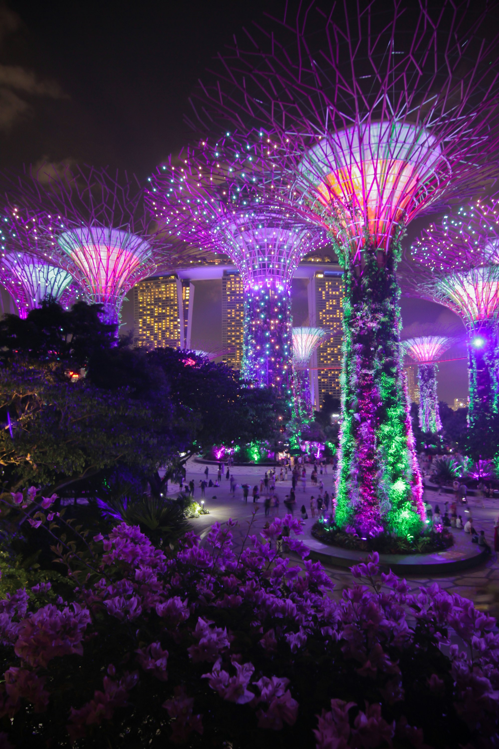 Illuminated Supertree Grove at Gardens by the Bay, Singapore
