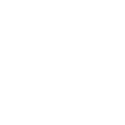Gray Circle